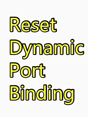 Solve WSL2 Port Binding Issue